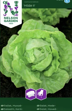 Fröer Sallat Huvud Hilde Såband>Nelson Garden Online