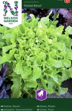 Fröer Sallat Plock- Salad Bowl Grön>Nelson Garden New
