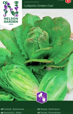 Fröer Sallat Romersk Lobjoits Green Cos>Nelson Garden