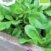 Fröer Sallat Vinter- /Mache- Vit Ekologisk>Nelson Garden Discount