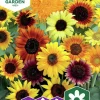 Fröer Solros Blandade Sorter Hög>Nelson Garden Discount