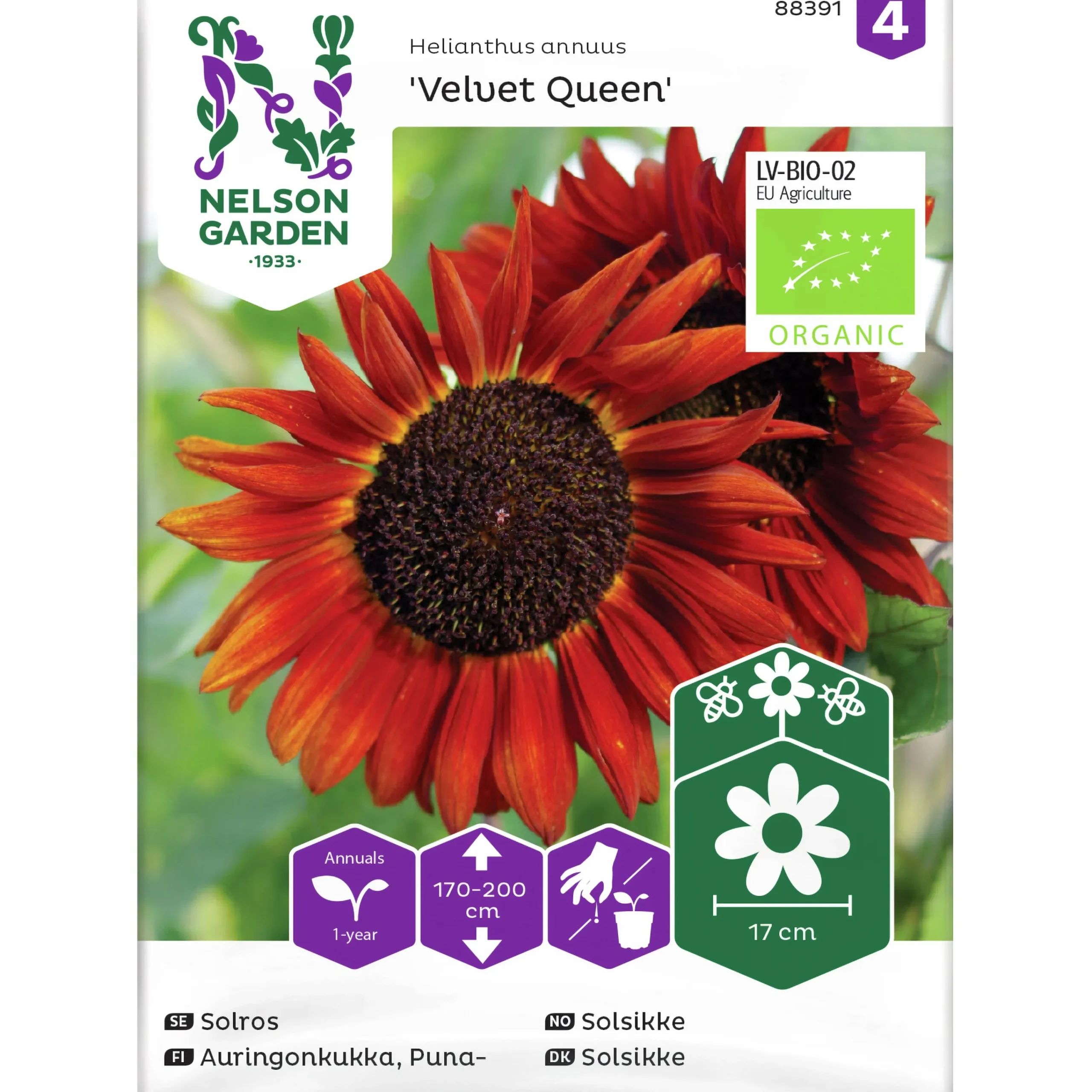 Fröer Solros Velvet Queen Organic>Nelson Garden Best