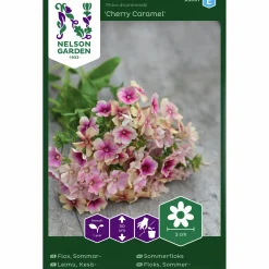 Fröer Sommarflox Cherry Caramel>Nelson Garden Clearance