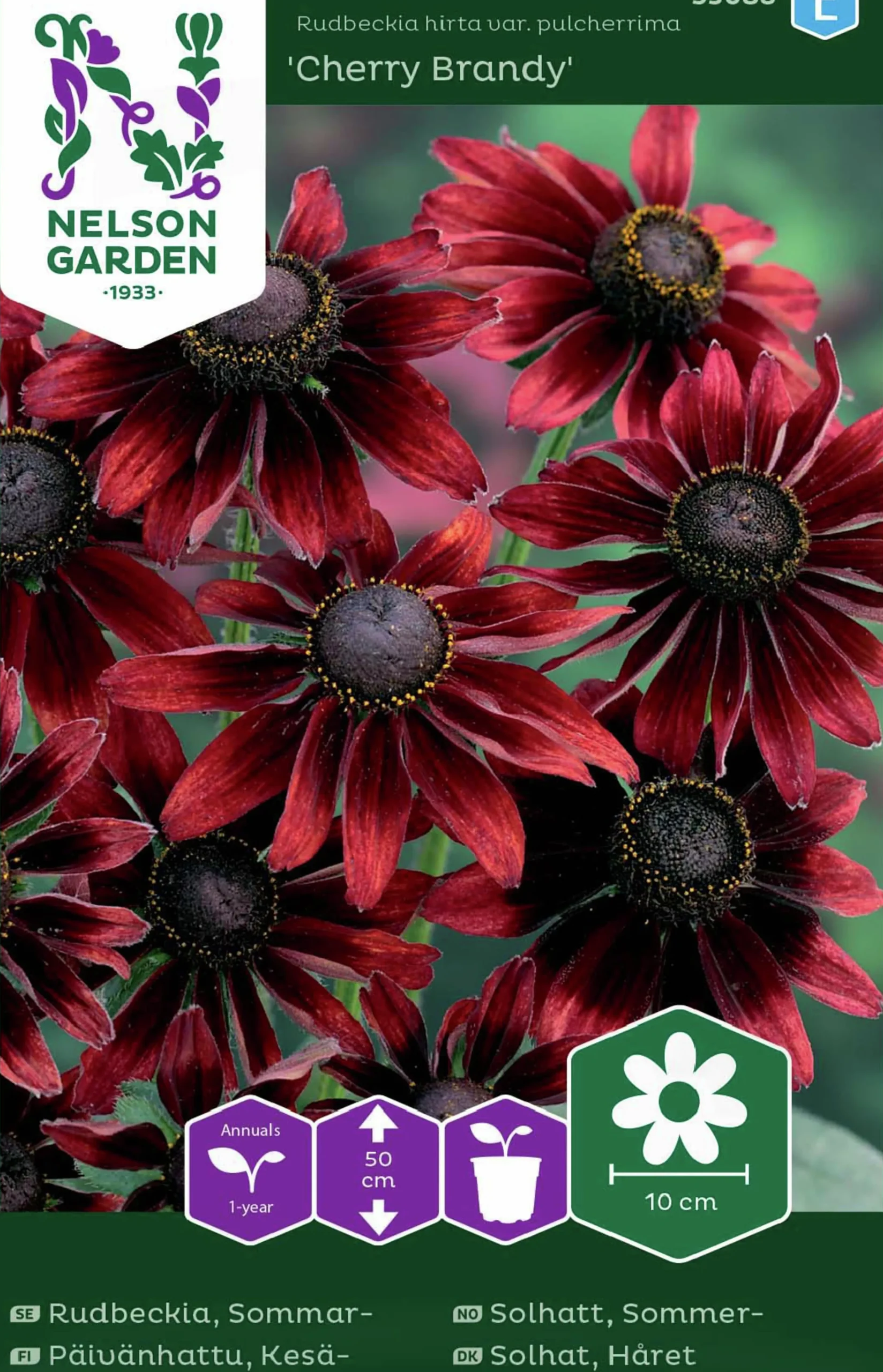Fröer Sommarrudbeckia Cherry Brandy>Nelson Garden Clearance