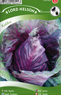 Fröer Spetskål Kalibos>Nelson Garden Online
