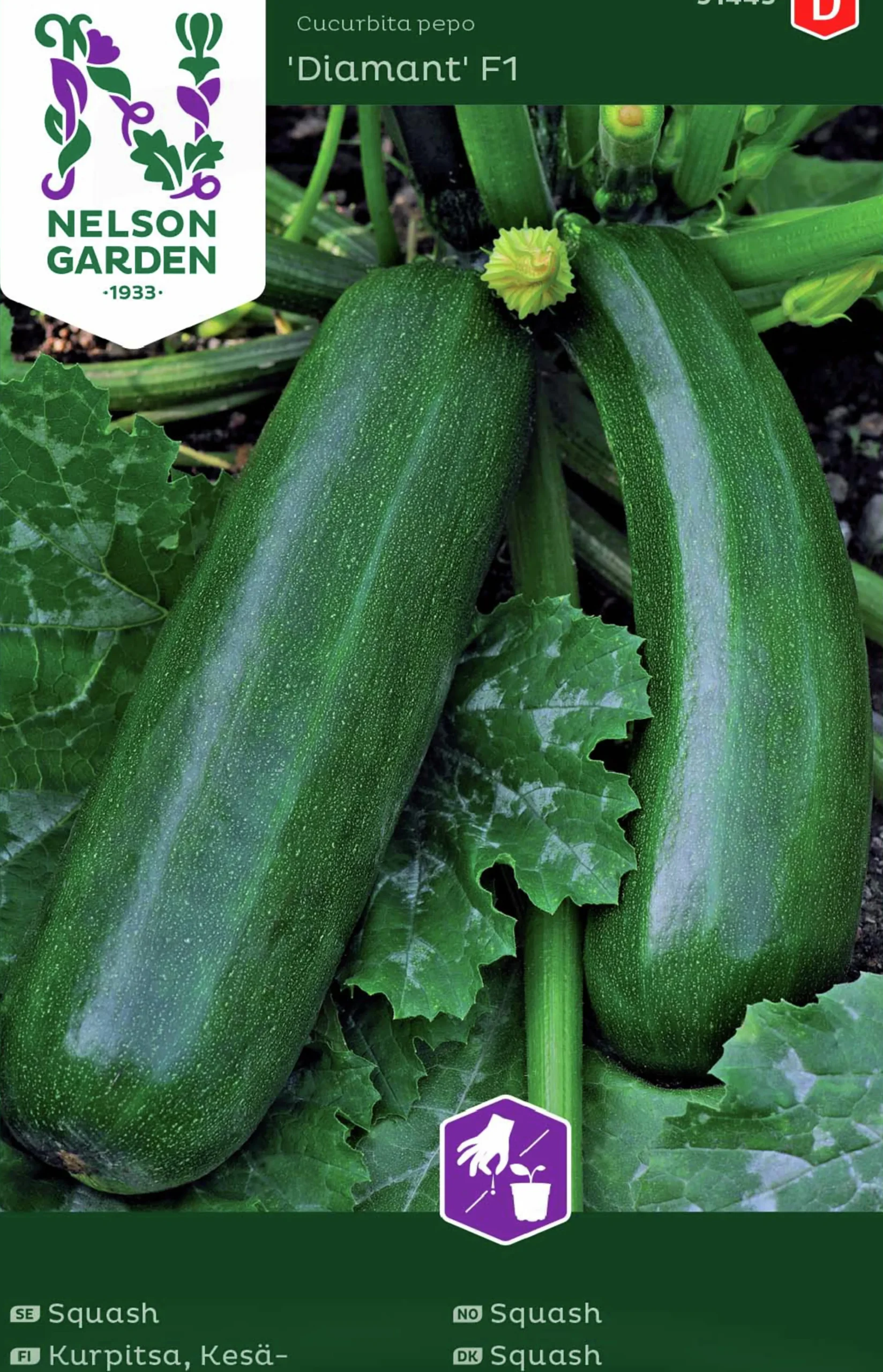 Fröer Squash Diamant F1>Nelson Garden