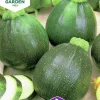Fröer Squash Eight Ball F1>Nelson Garden Discount