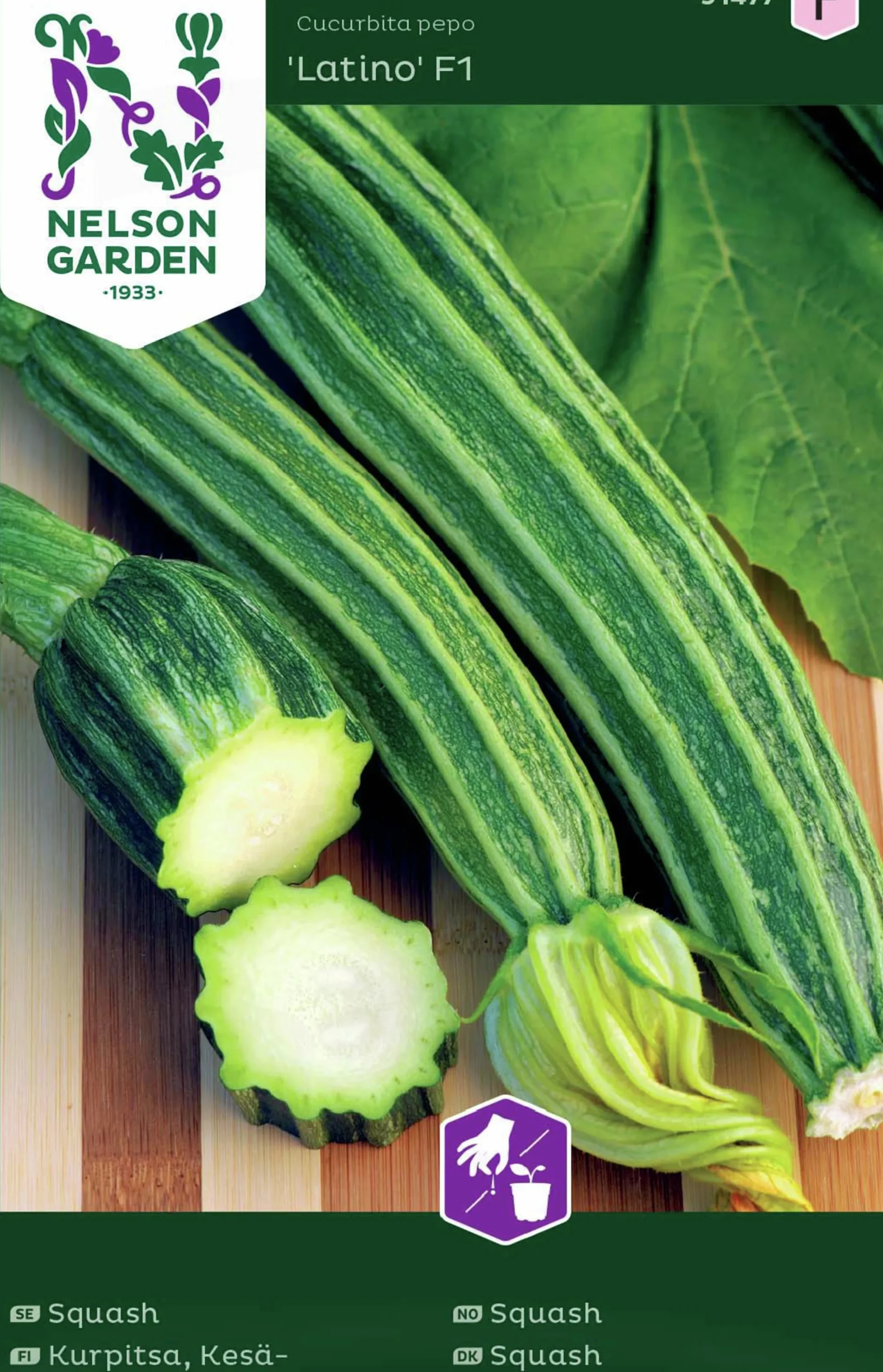Fröer Squash Latino F1>Nelson Garden New