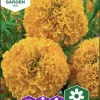 Fröer Stortagetes First Lady F1>Nelson Garden Clearance