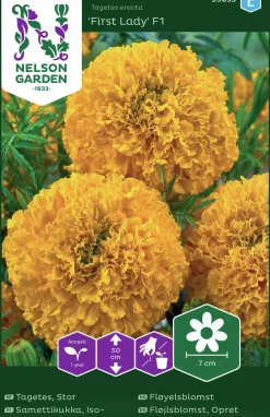 Fröer Stortagetes First Lady F1>Nelson Garden Clearance