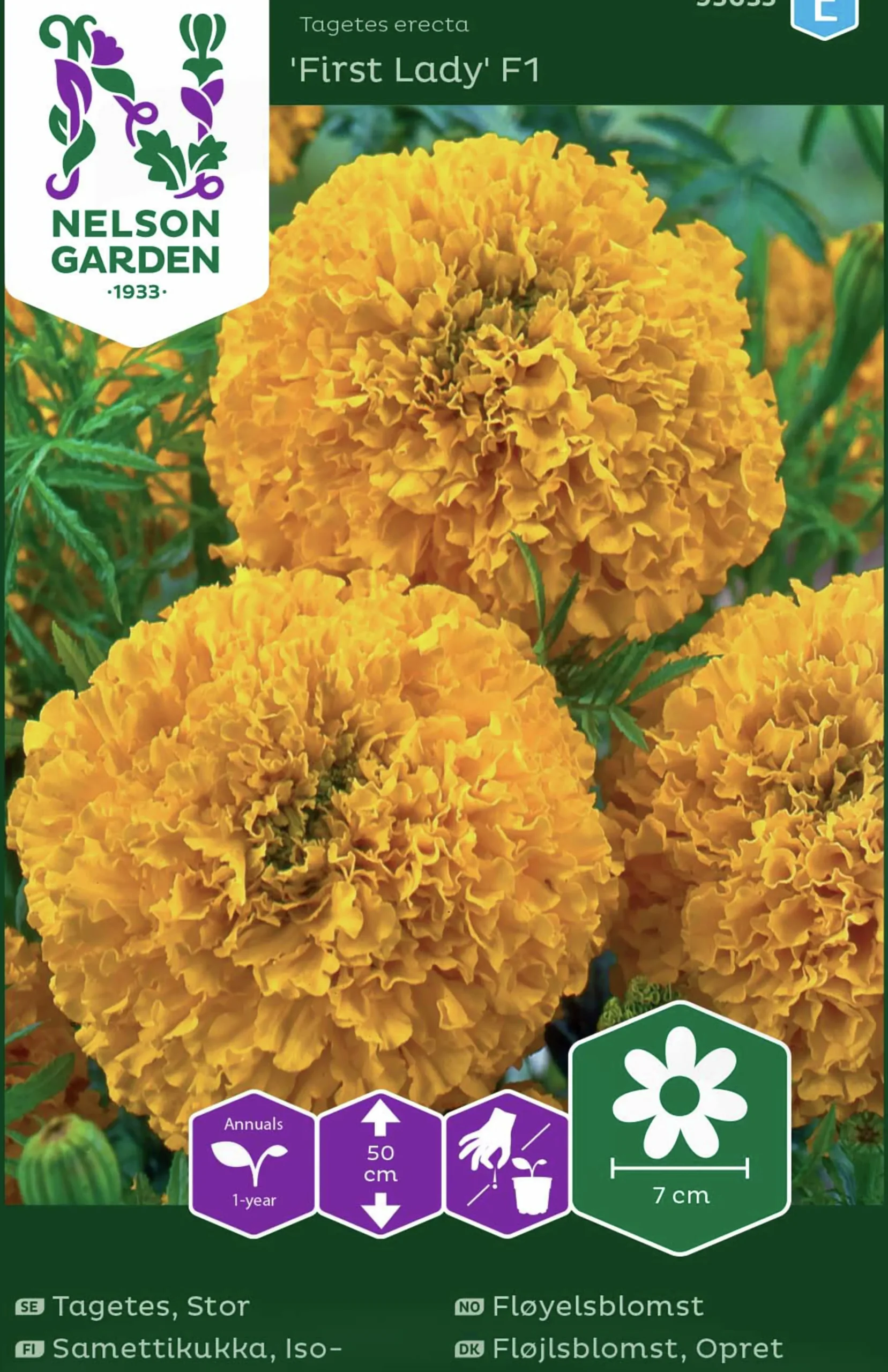 Fröer Stortagetes First Lady F1>Nelson Garden Clearance