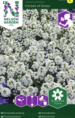 Fröer Strandkrassing Carpet of Snow Vit>Nelson Garden Online