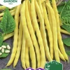 Fröer Störvaxböna Neckargold>Nelson Garden New