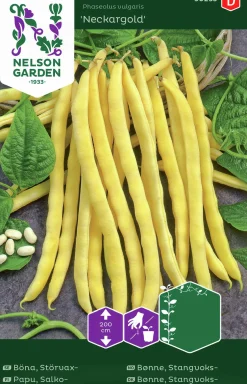 Fröer Störvaxböna Neckargold>Nelson Garden New