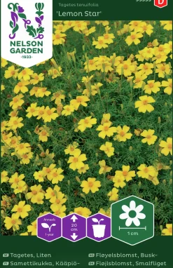 Fröer Tagetes Lemon Star Liten>Nelson Garden