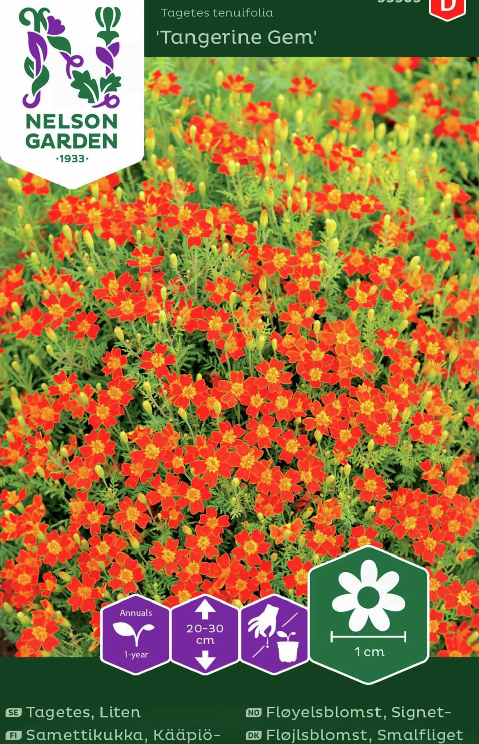 Fröer Tagetes Tangerine Gem Liten>Nelson Garden Best