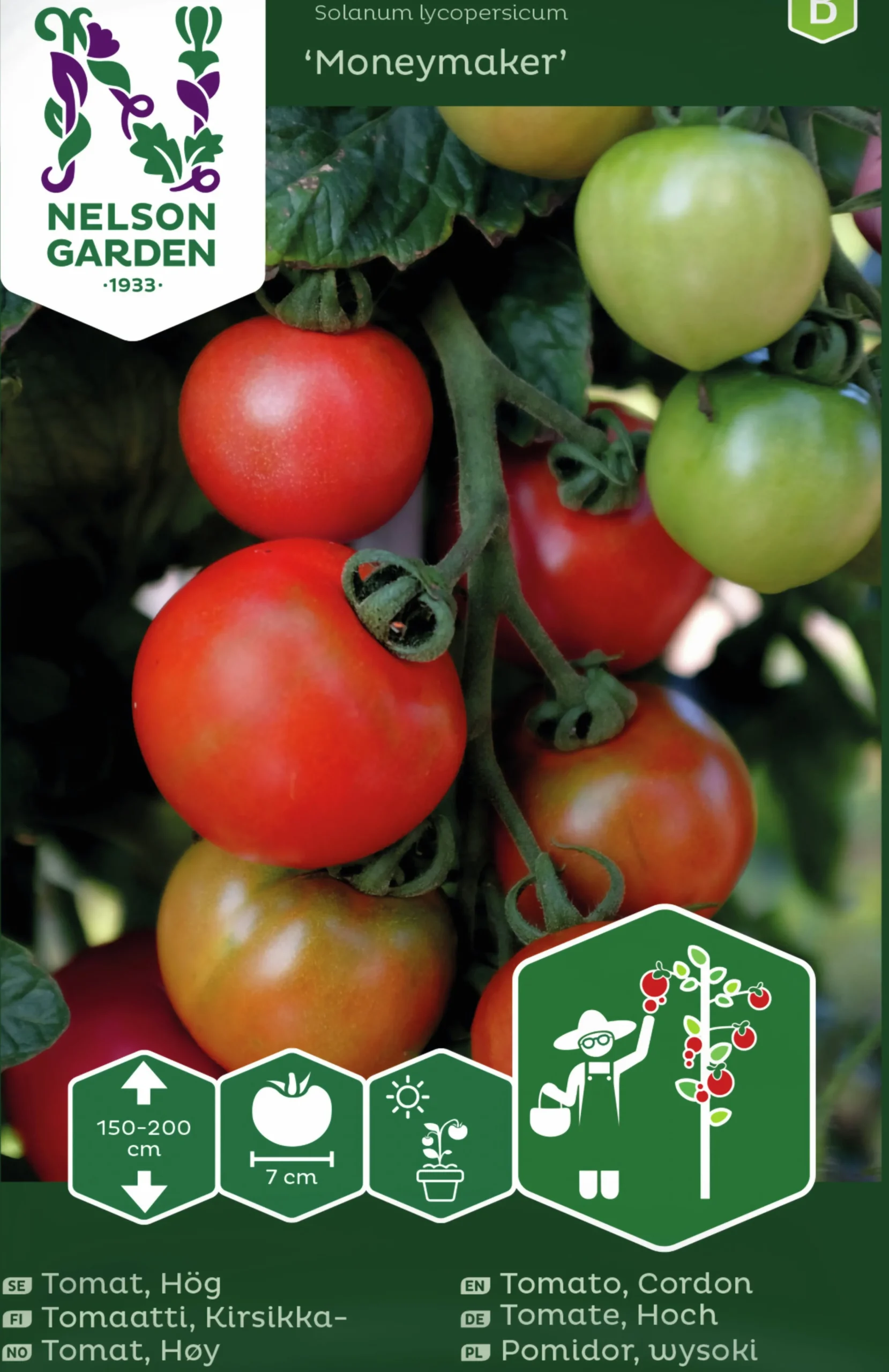 Fröer Tomat Moneymaker Hög>Nelson Garden Clearance
