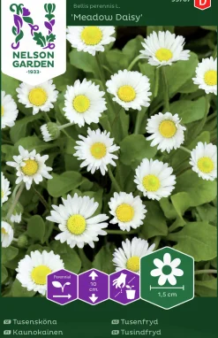 Fröer Tusensköna Meadow Daisy Vit>Nelson Garden Outlet