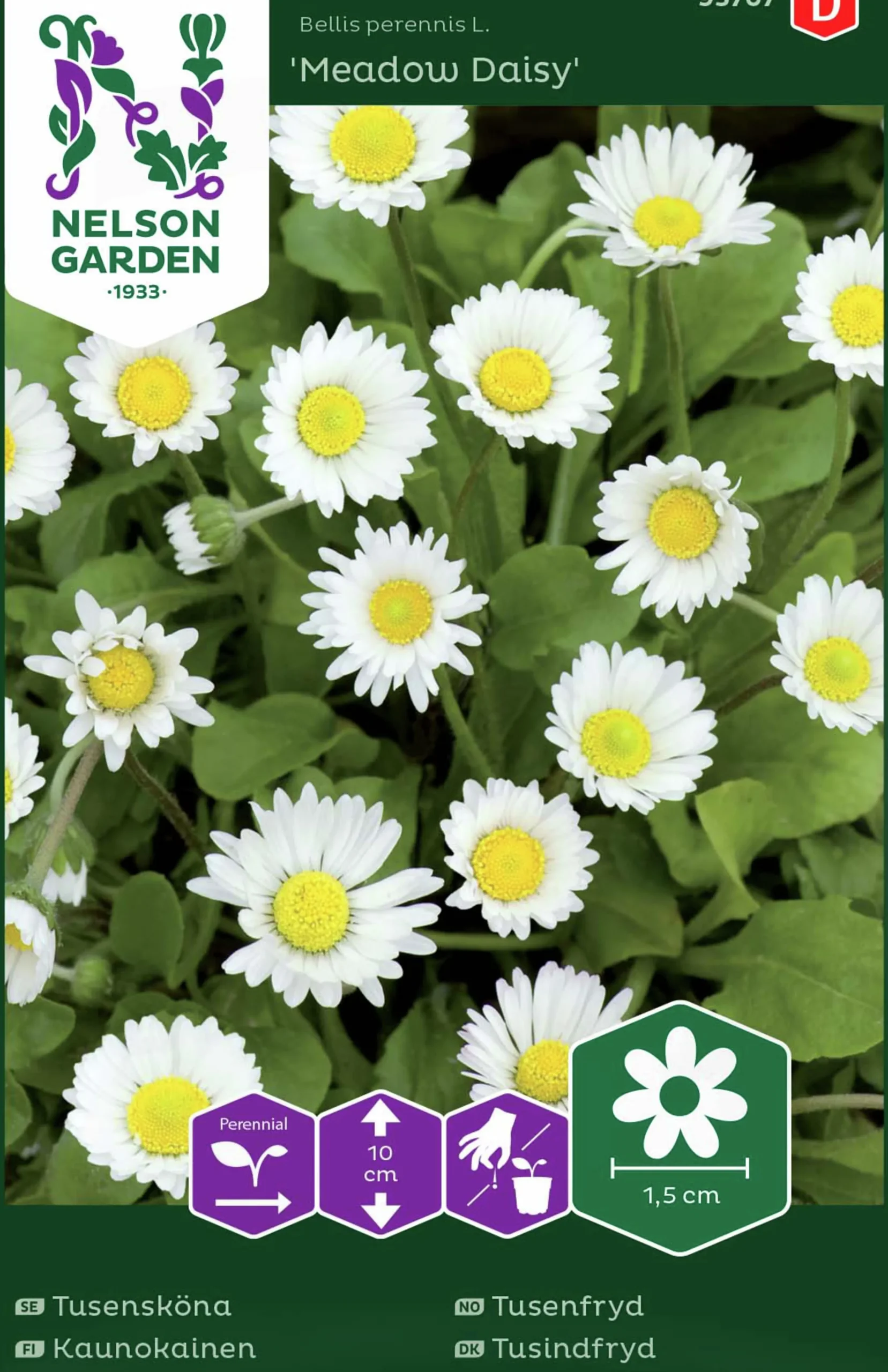 Fröer Tusensköna Meadow Daisy Vit>Nelson Garden Outlet