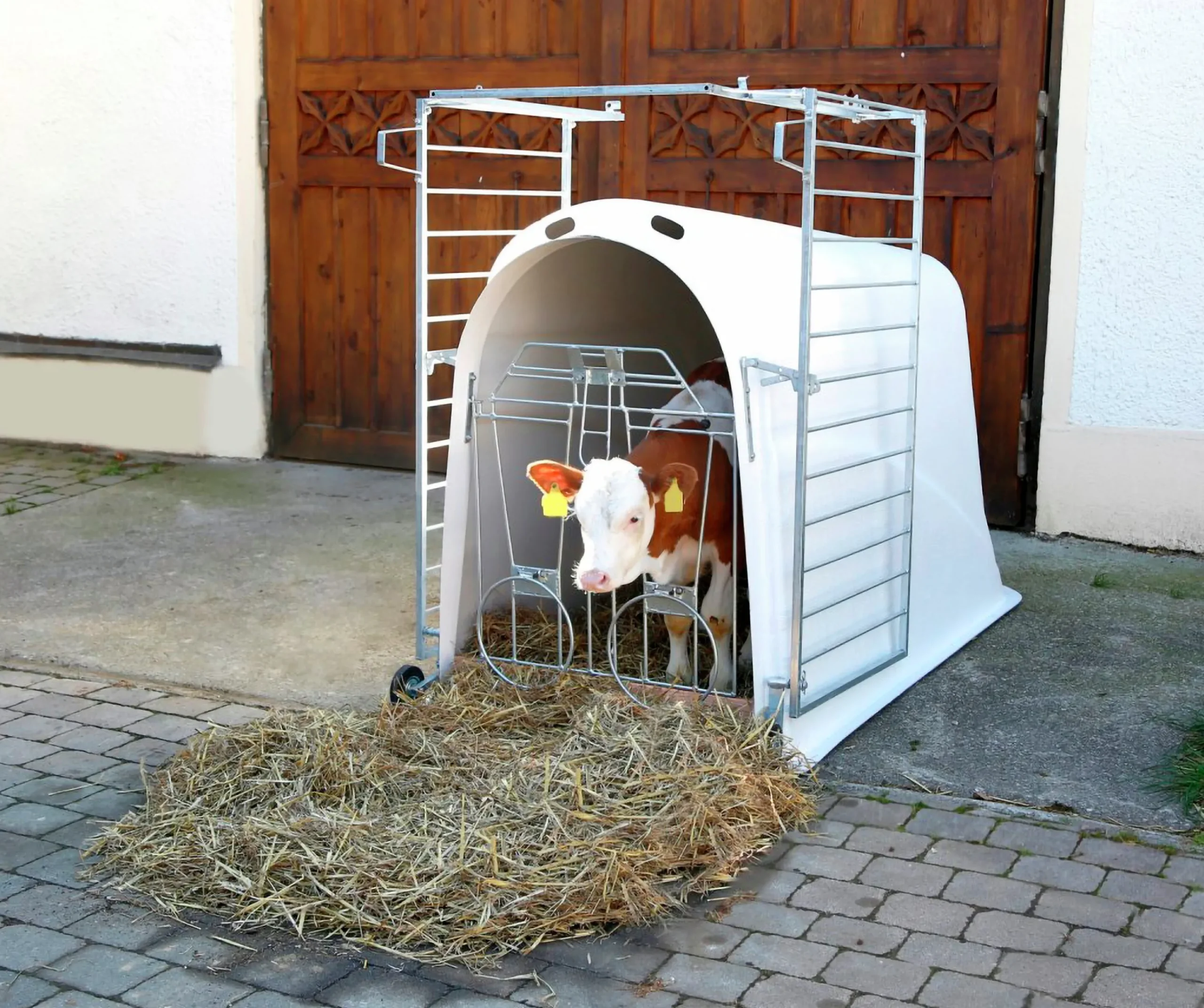 Förgård till kalvhydda CalfHouse Master Plus 150x110cm>Kerbl Hot