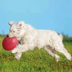 Frisbee i Naturgummi Ø24cm Blandade färger>Trixie New