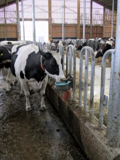 Frostplugg till modell 46><noscript><img width=