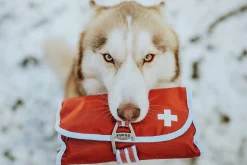 Första Hjälpen-kit 50 delar><noscript><img width=