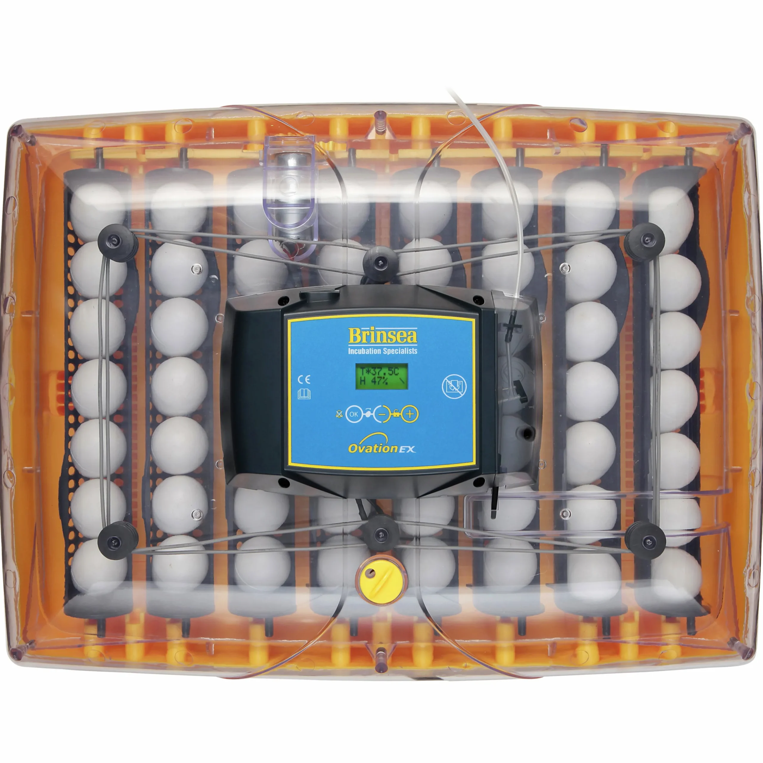 Äggkläckningsmaskin Ovation 56 Ex>Brinsea Hot