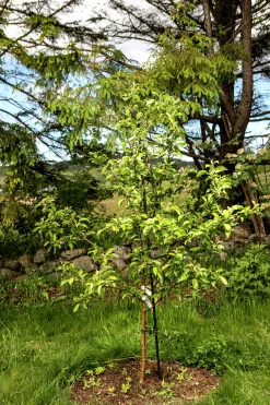 Glasfiberstolpe 16mmx1,9m Svart><noscript><img width=