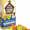 Gnagargodis Marsvin Scrummies Fruit 120g>Tiny Friends Farm Outlet