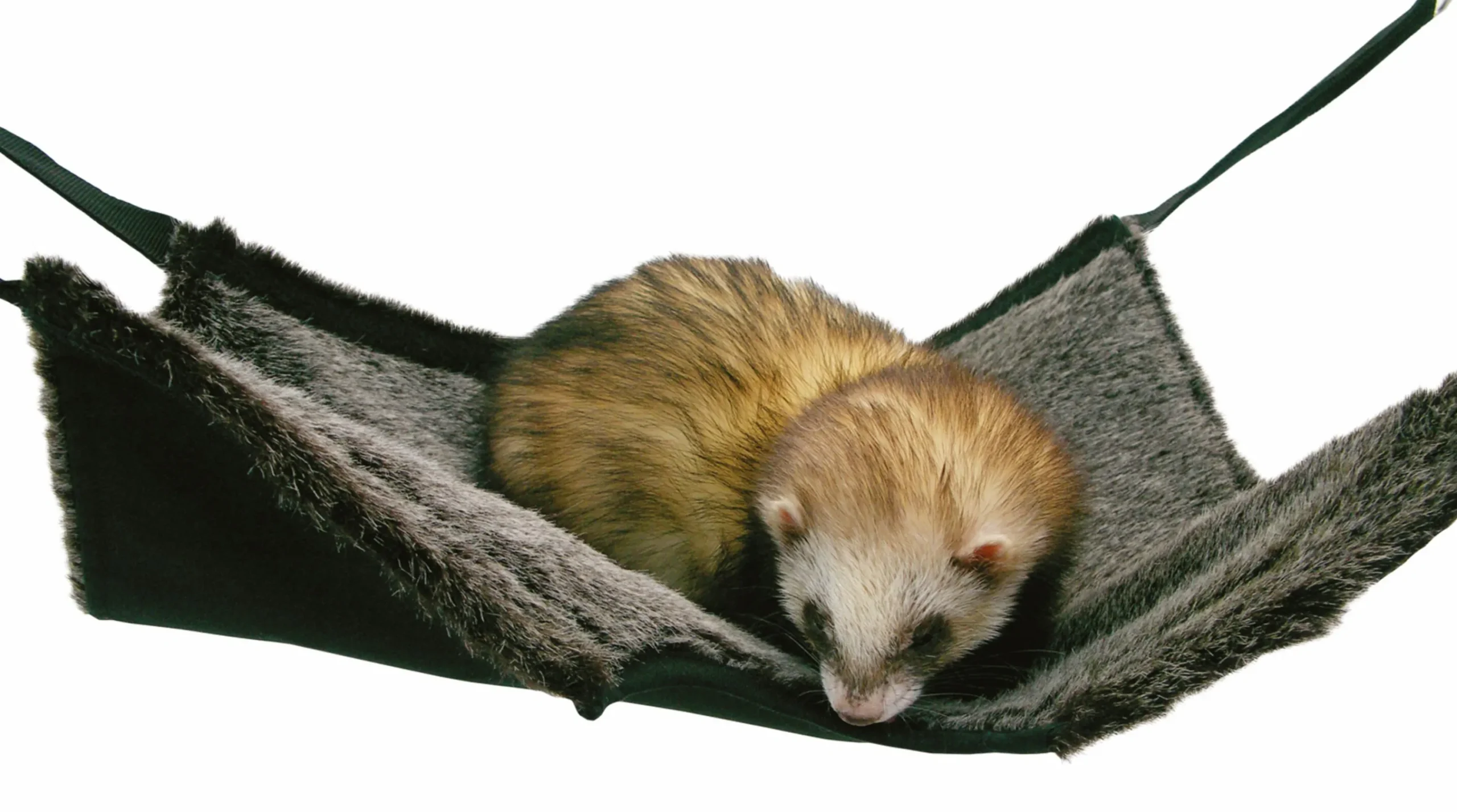 Gnagarleksak 2-in-1 Hanging Tunnel & Hammock Grå>Rosewood New