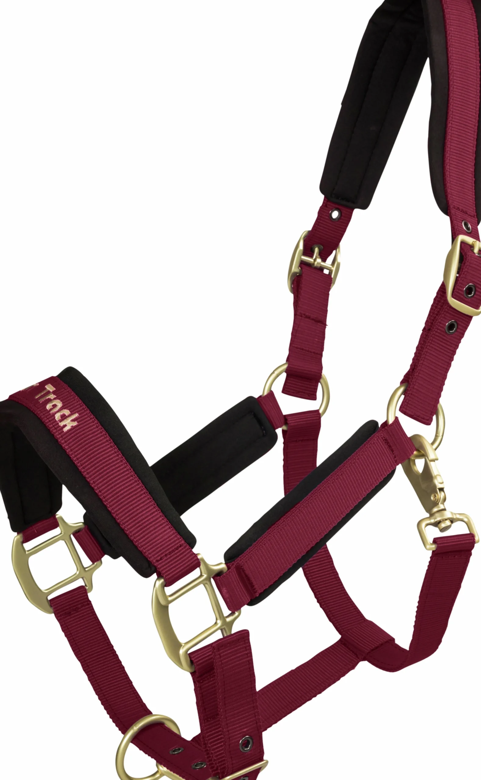 Grimma Werano>Back on Track Outlet