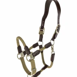 Grimma Cordano Deluxe><noscript><img width=