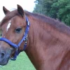 Grimma Fodrad Marin Cob>Hansbo Sport New