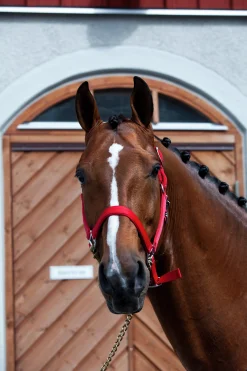 Grimma Fodrad Röd Ponny>Hansbo Sport Best