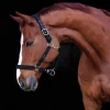 Grimma Fodrad Svart Shetland>Hansbo Sport Sale