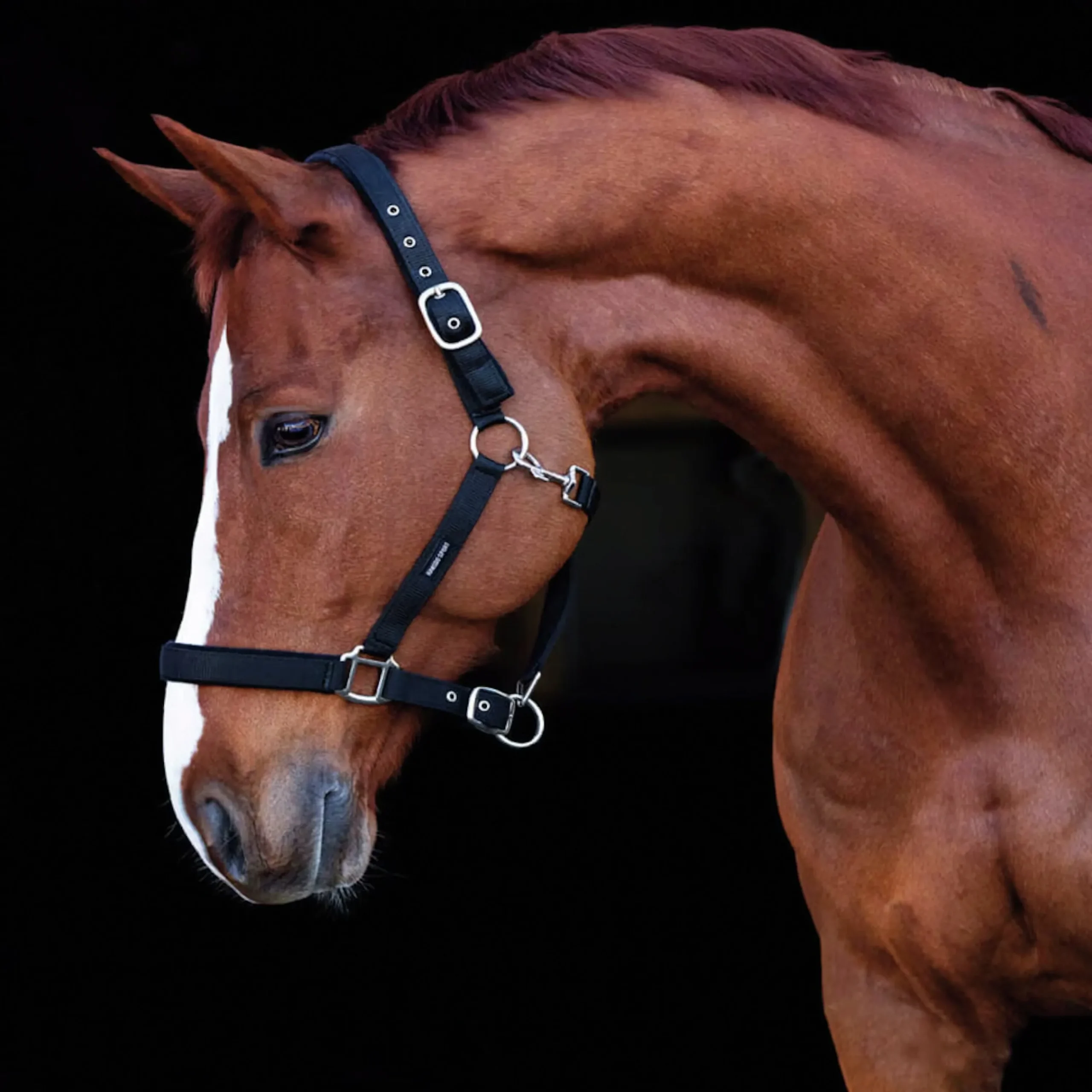 Grimma Fodrad Svart Full>Hansbo Sport Best
