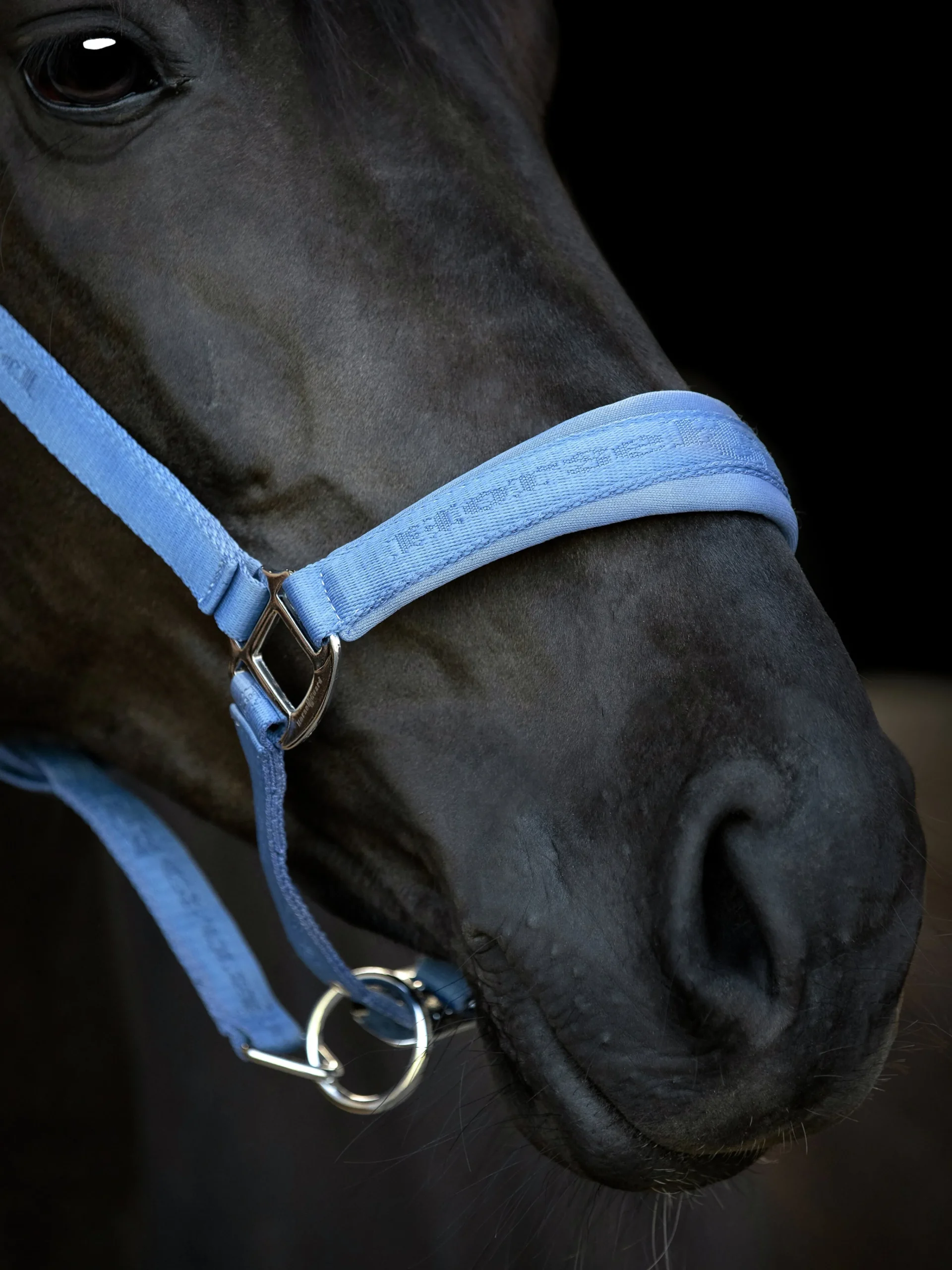 Grimma Diya Blå>Horseguard Online