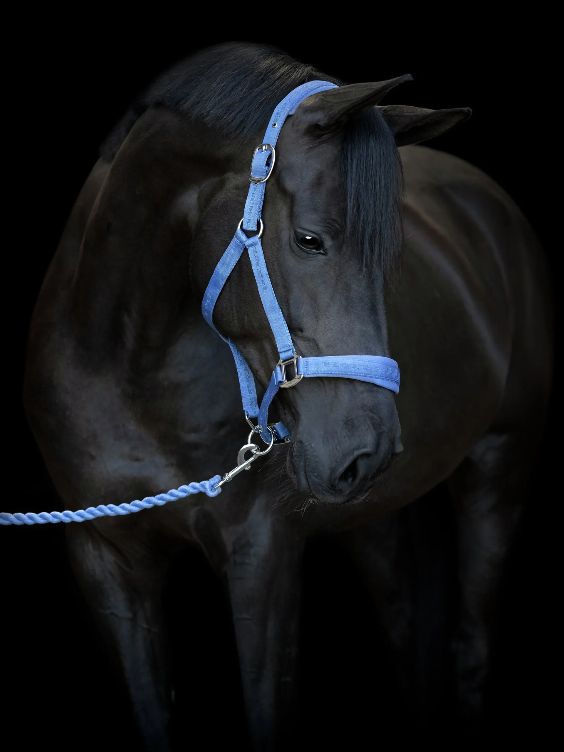 Grimma Diya Blå>Horseguard Online