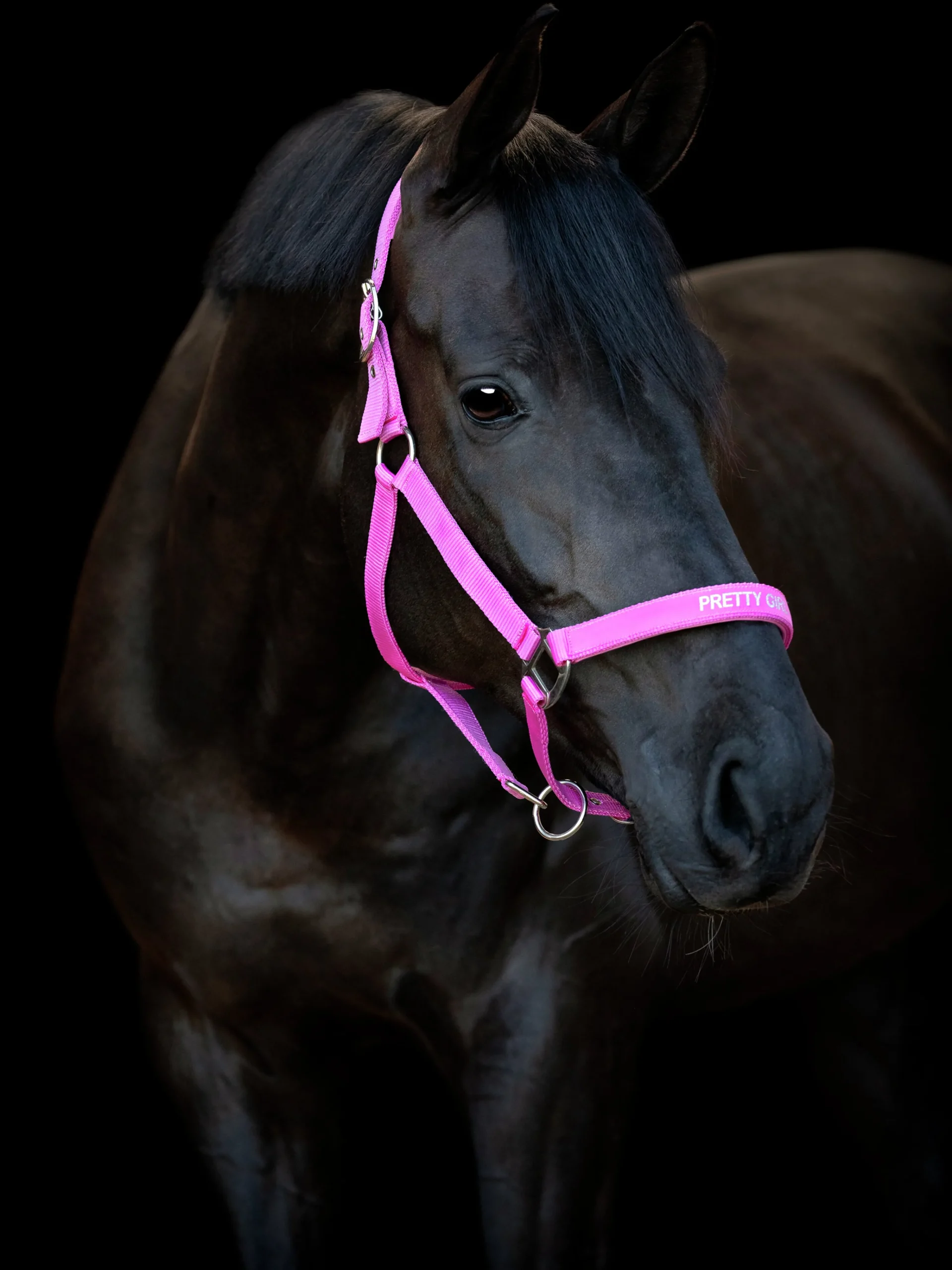Grimma Malva Pretty Girl>Horseguard