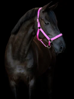 Grimma Malva Pretty Girl><noscript><img width=