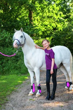 Grimma Mascha Vadderad>Horseguard Online