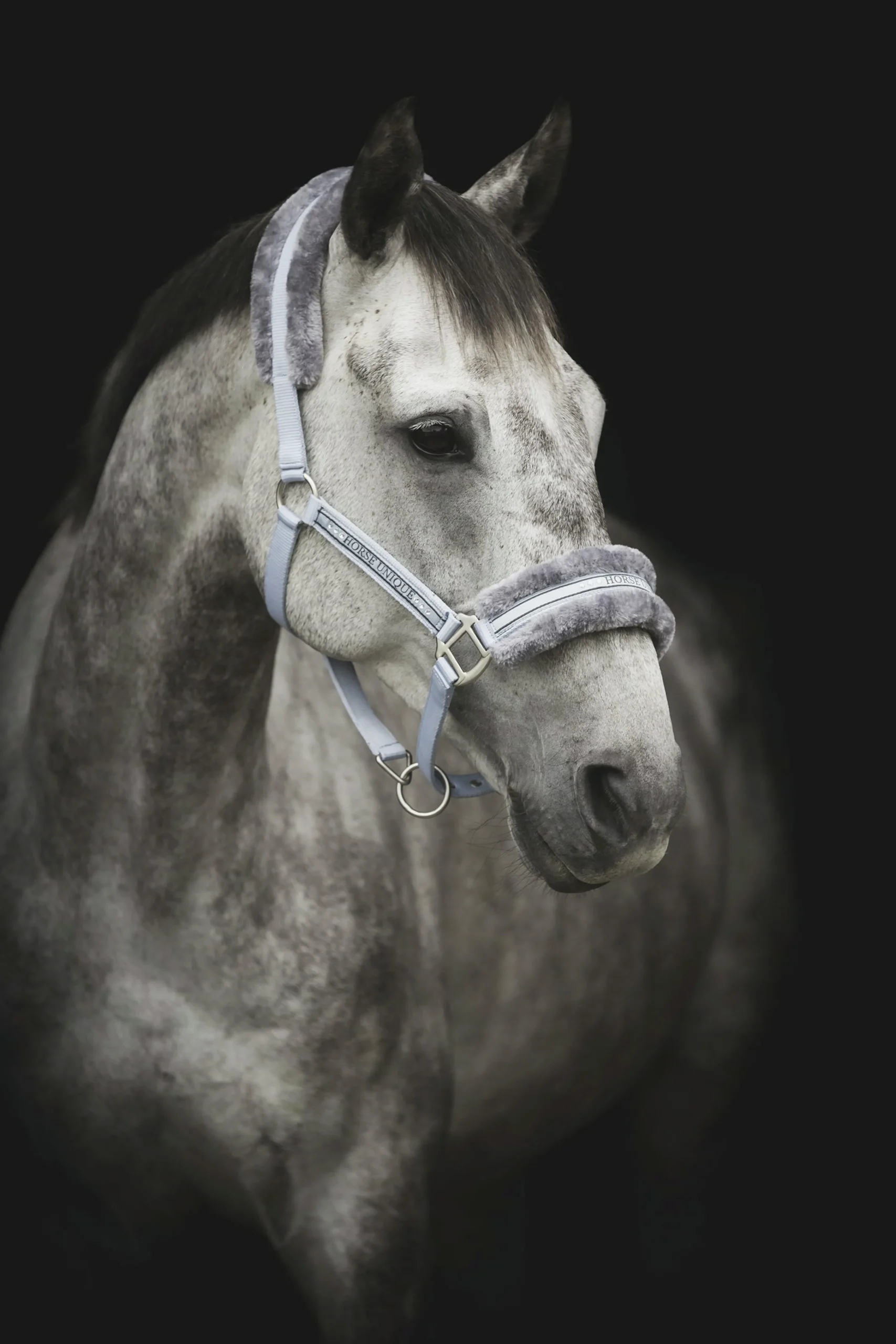 Grimma Horse Unique med ludd Ljusblå>Källquist