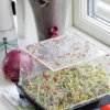 Groddbox>Nelson Garden Online