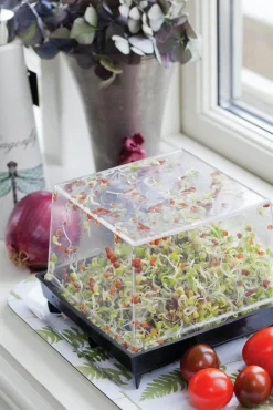 Groddbox>Nelson Garden Online