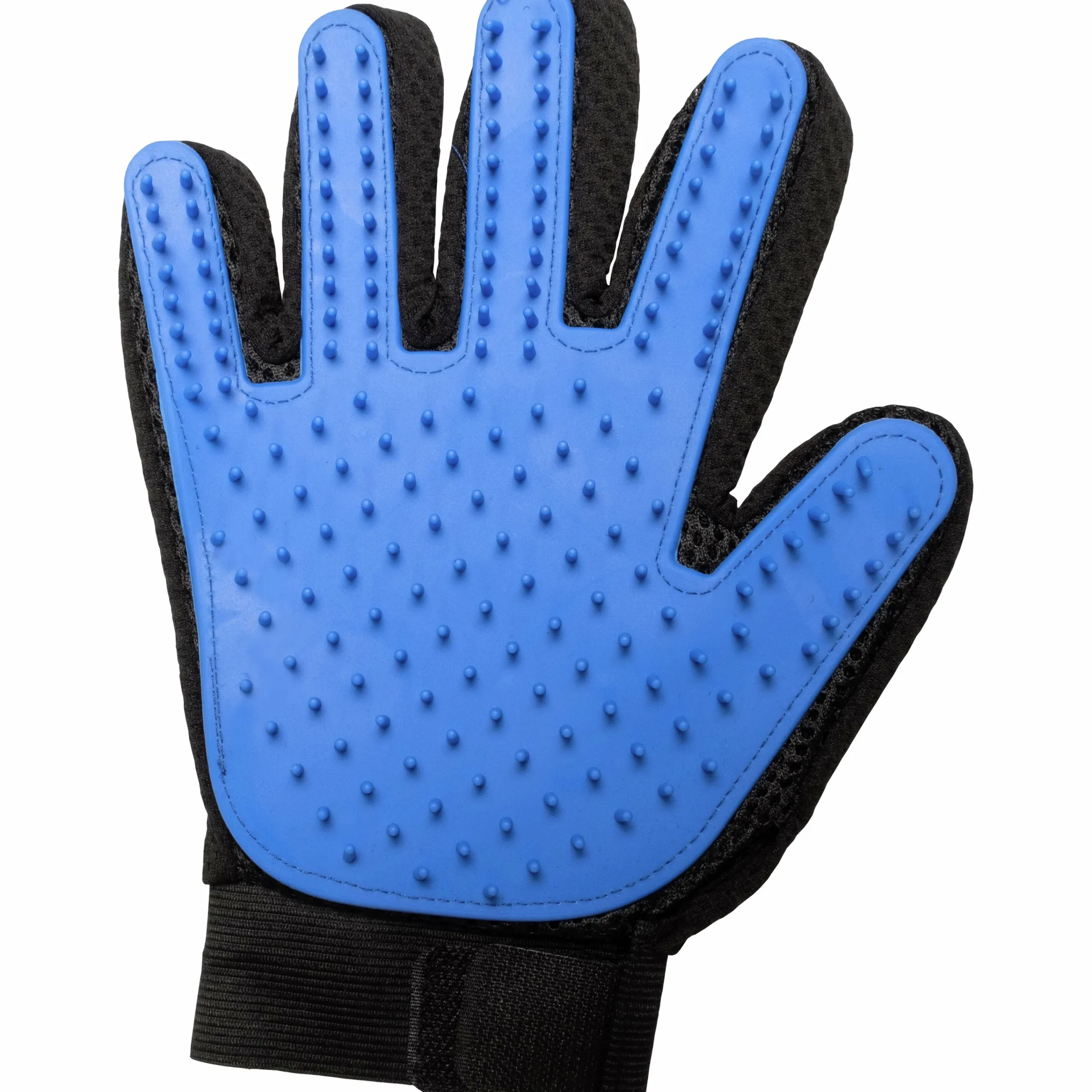Groominghandske Blå/Svart>Active Canis Clearance
