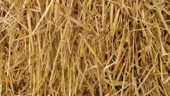 Halm Havre 1,5kg>To Gode Naboer Sale