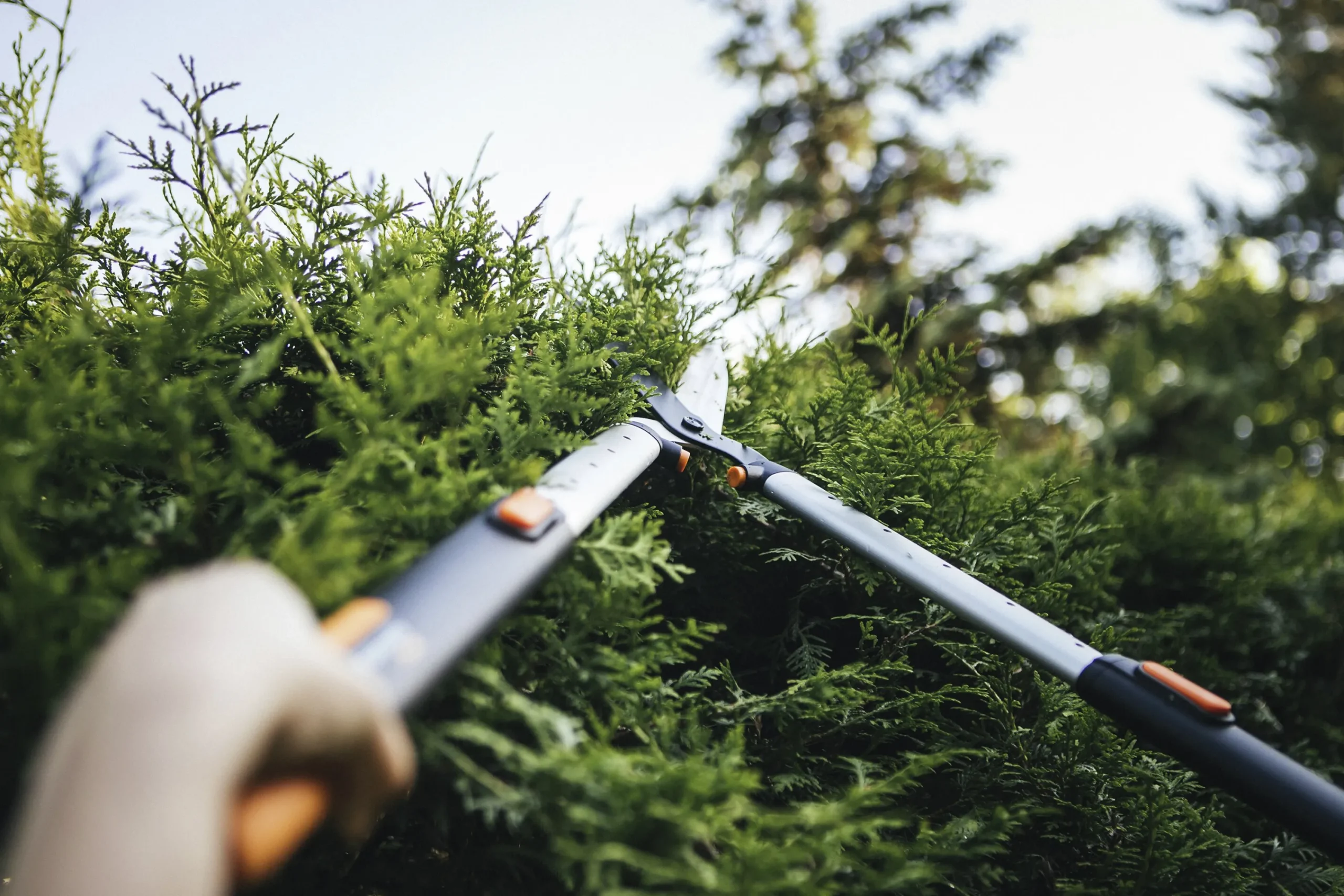 Häcksax SmartFit HS86>Fiskars Discount