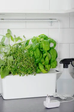 Hängare till LED-ramp med sugproppar><noscript><img width=