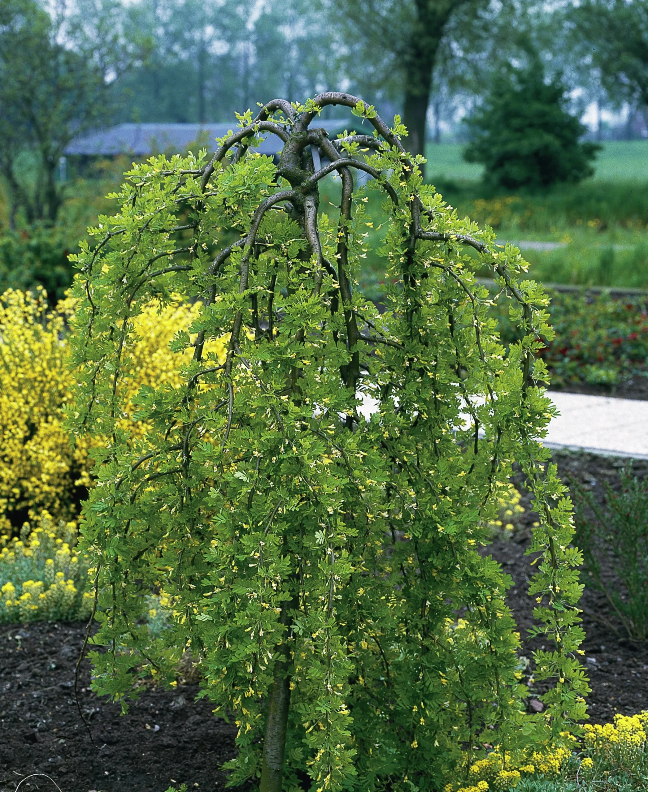 Hängkaragan>Omnia garden Discount